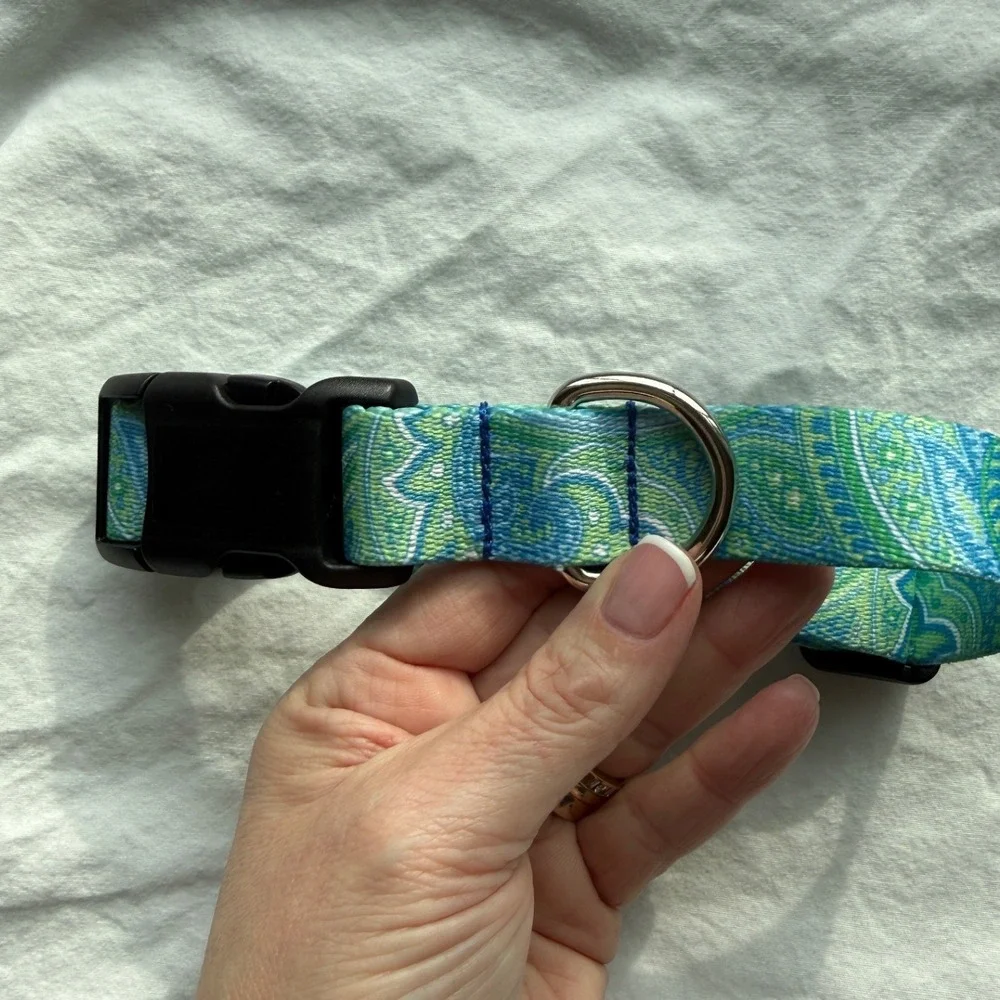 Green and Blue Paisley 1